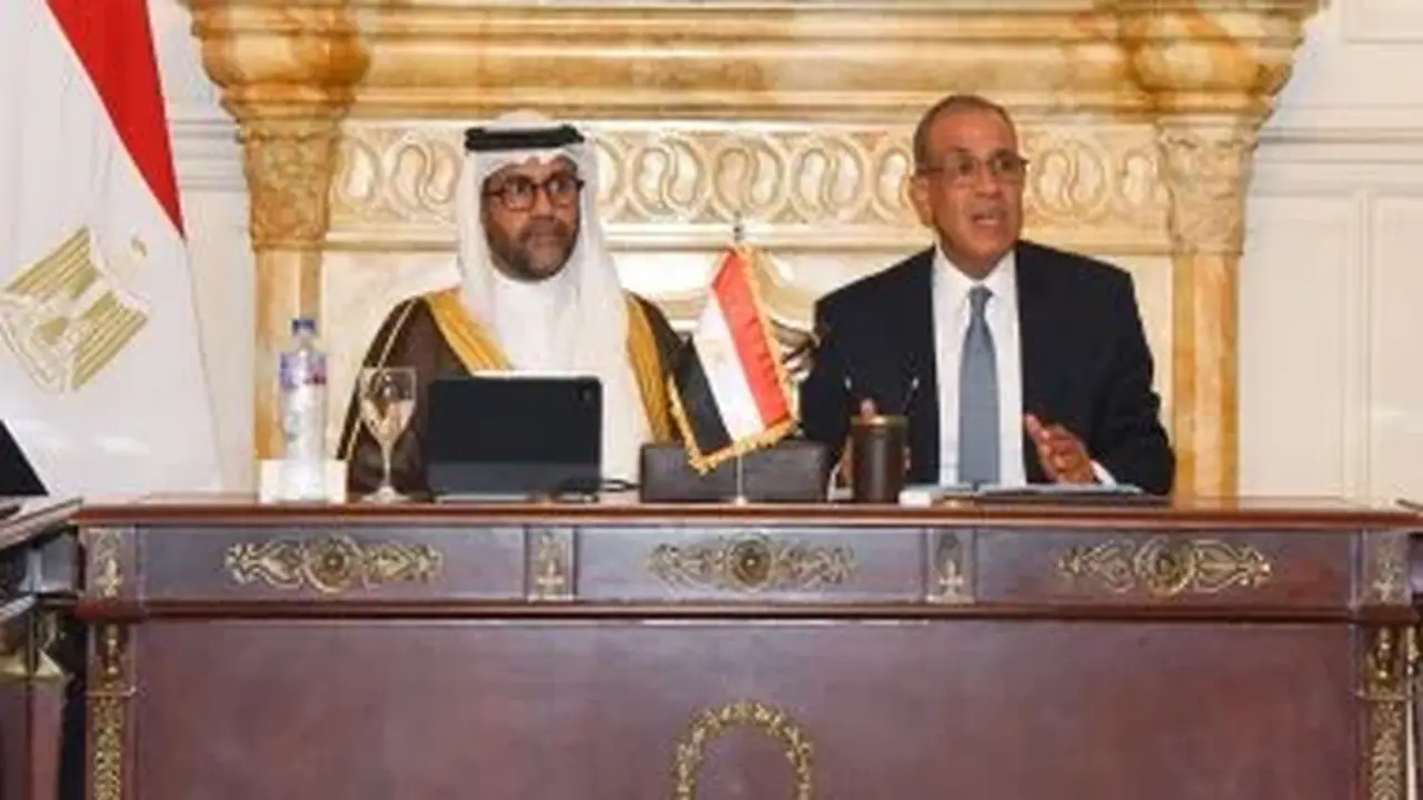 وزير الخارجية يناقش دعم القطاع الخاص في التوسع بالأسواق الأفريقية